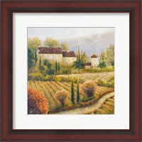 Framed Tuscany Vineyard I