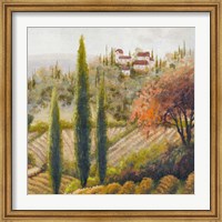 Framed Tuscany Vineyard II