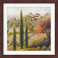Framed Tuscany Vineyard II
