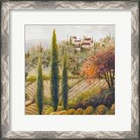 Framed Tuscany Vineyard II