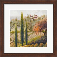 Framed Tuscany Vineyard II