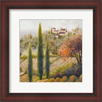 Framed Tuscany Vineyard II