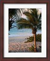 Framed Sunset Palms II