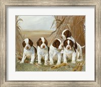 Framed Belle's Pups