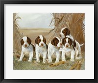 Framed Belle's Pups