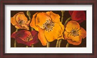 Framed Dazzling Poppies II (black background)