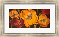 Framed Dazzling Poppies II (black background)