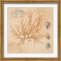 Framed Coral Medley I