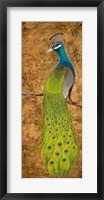Framed Peacocks I