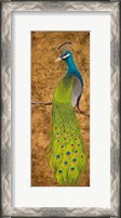 Framed Peacocks I