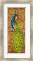 Framed Peacocks II