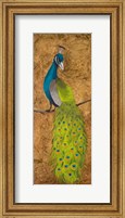 Framed Peacocks II