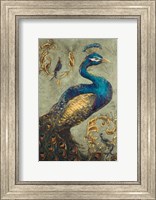 Framed Peacock on Sage I
