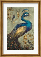 Framed Peacock on Sage I