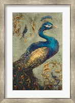 Framed Peacock on Sage I