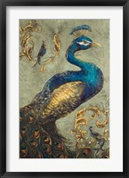 Framed Peacock on Sage I