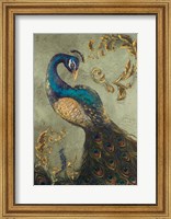 Framed Peacock on Sage II
