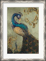 Framed Peacock on Sage II