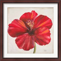 Framed Red Hibiscus