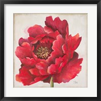 Framed Red Peony