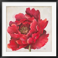 Framed Red Peony