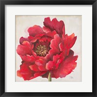 Framed Red Peony