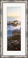 Framed Bimini Coastline II