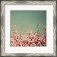 Framed Springtime I