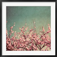 Framed Springtime II