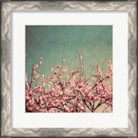 Framed Springtime II