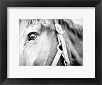 Framed Horseback Riding