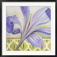 Framed African Lily II