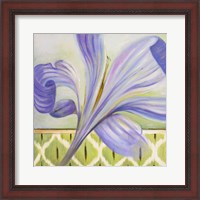 Framed African Lily II