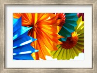 Framed Paper Flowers