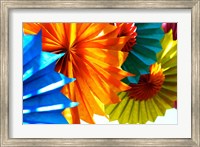 Framed Paper Flowers