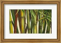 Framed Bamboo on Beige I