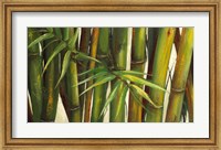 Framed Bamboo on Beige II