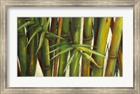 Framed Bamboo on Beige II