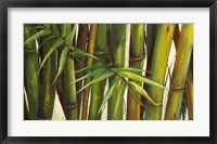 Framed Bamboo on Beige II