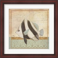 Framed Vintage Fish I