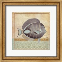 Framed Vintage Fish II