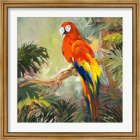 Framed Parrots at Bay I