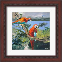 Framed Parrots at Bay II