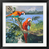 Framed Parrots at Bay II