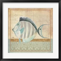 Framed Vintage Fish III