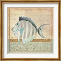 Framed Vintage Fish III