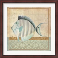 Framed Vintage Fish III