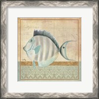 Framed Vintage Fish III