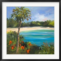 Framed Palm Isle