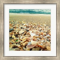 Framed Shells Beach II